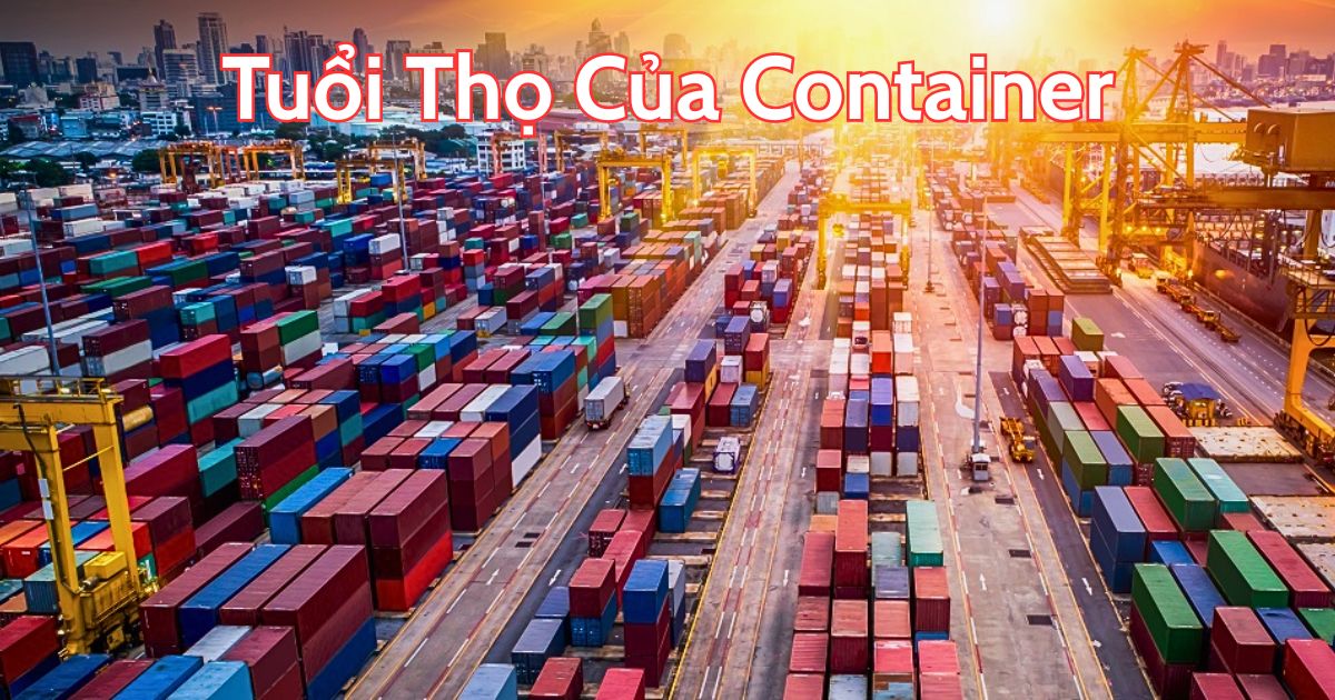 Tuổi Thọ Của Container