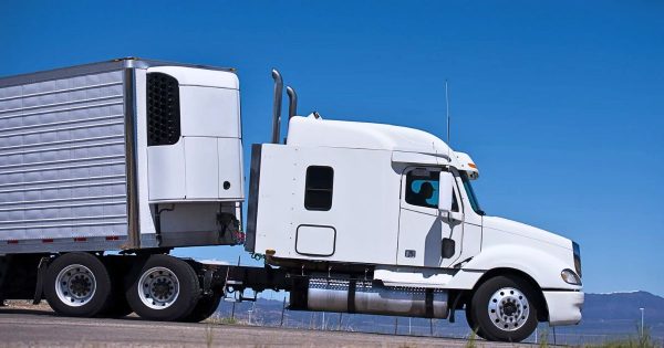 Hướng Dẫn Chọn Container Lạnh Bảo Quản Hải Sản