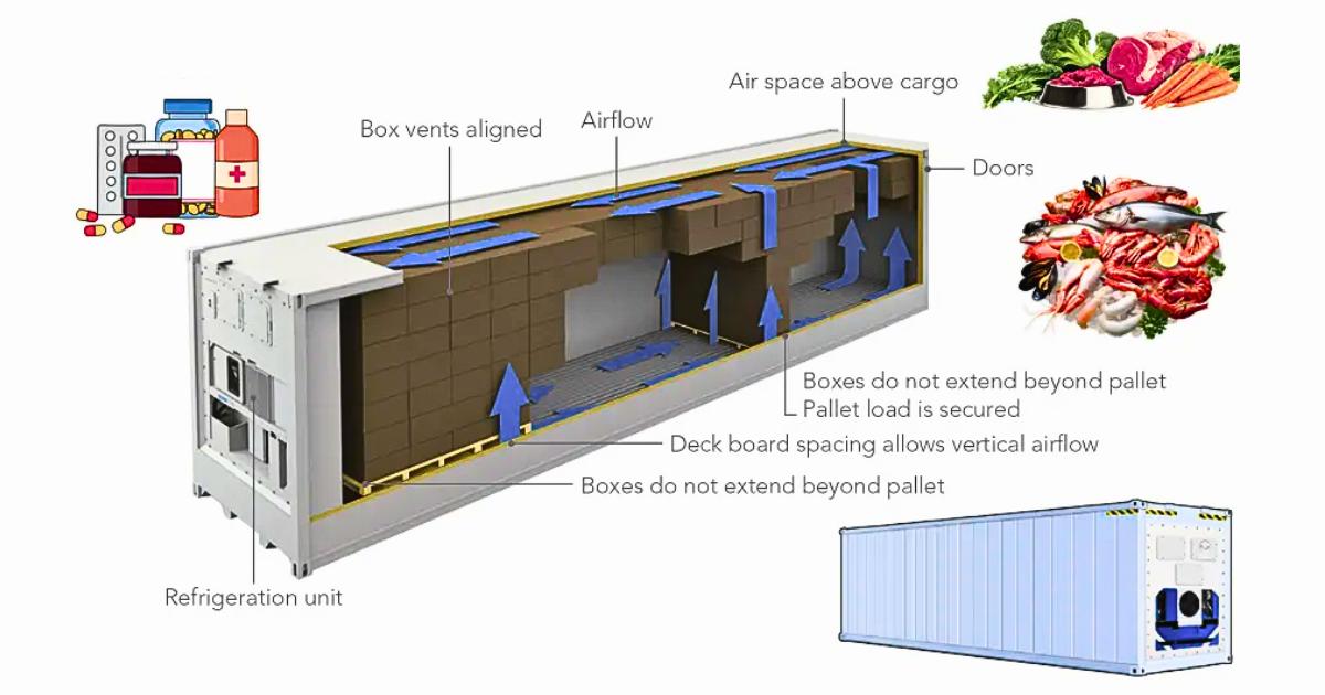Cấu tạo container lạnh